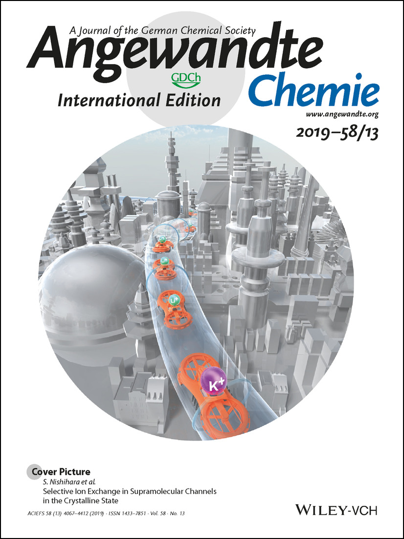 Angew.Chem. Int. Ed.2019